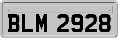 BLM2928