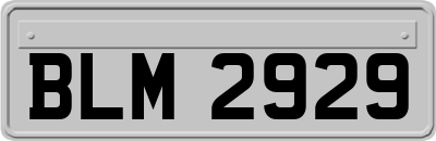 BLM2929