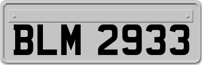 BLM2933