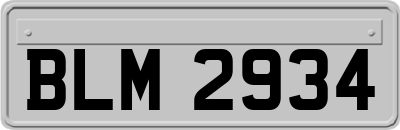 BLM2934