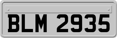 BLM2935