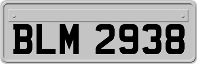 BLM2938