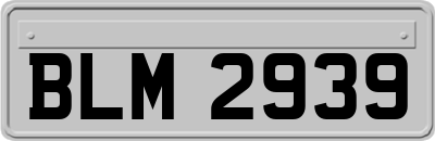 BLM2939