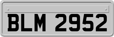 BLM2952