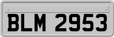 BLM2953