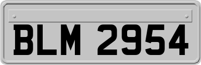 BLM2954