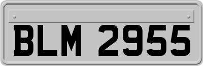BLM2955