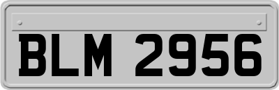BLM2956