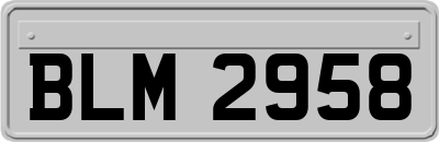 BLM2958
