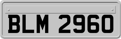 BLM2960