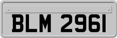 BLM2961