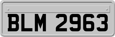 BLM2963