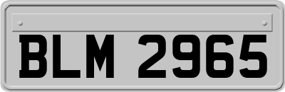BLM2965