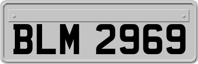 BLM2969