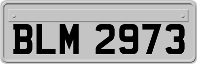 BLM2973