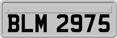 BLM2975