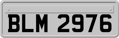BLM2976