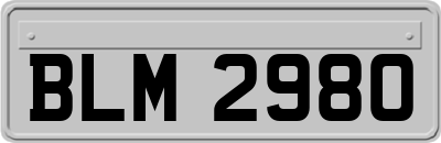 BLM2980
