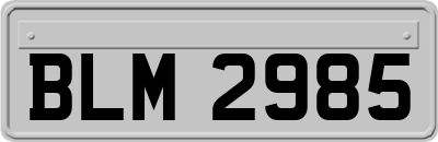 BLM2985