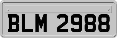 BLM2988