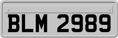 BLM2989