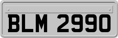 BLM2990
