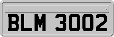 BLM3002