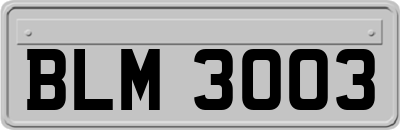BLM3003