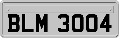 BLM3004