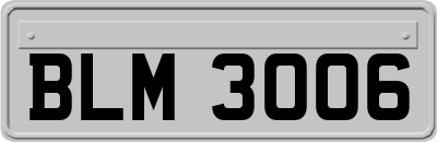 BLM3006