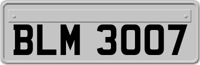 BLM3007
