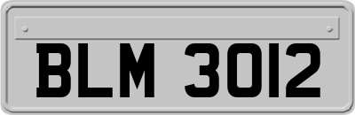 BLM3012