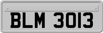 BLM3013