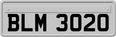 BLM3020