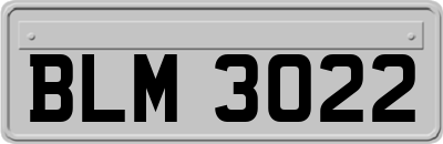 BLM3022