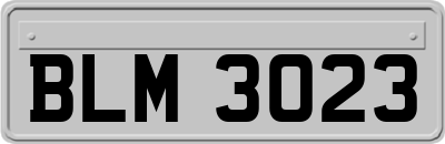 BLM3023