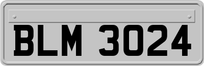 BLM3024