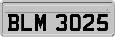 BLM3025