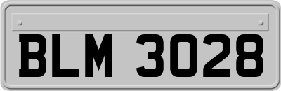 BLM3028