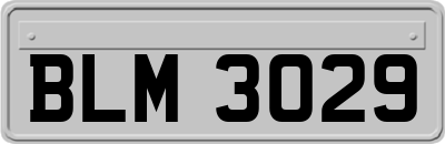 BLM3029
