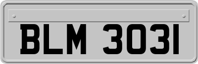 BLM3031