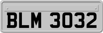 BLM3032