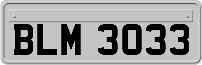 BLM3033