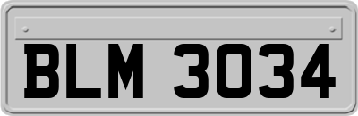BLM3034