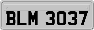 BLM3037