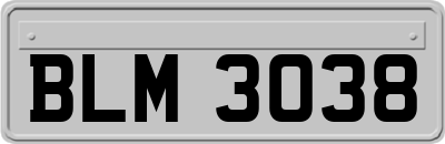 BLM3038