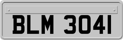 BLM3041