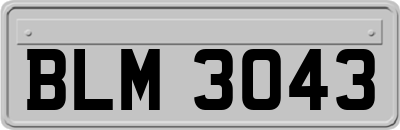 BLM3043