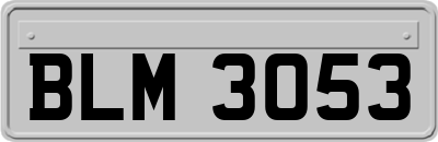 BLM3053