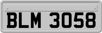 BLM3058